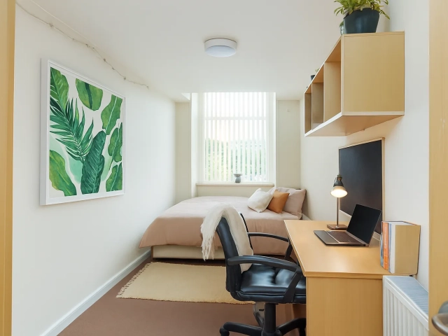 Queen Street 8-Bed House